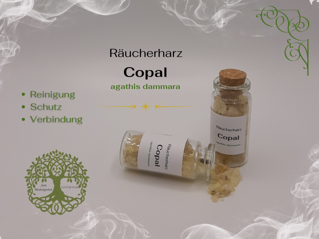 Copal (Agathis Dammara) - 10ml Glasflasche mit Korken