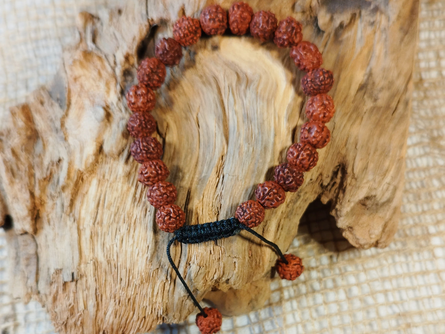 Rudraska Mala Armband